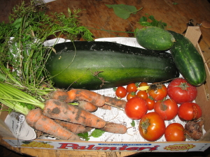 Lgumes du jardin